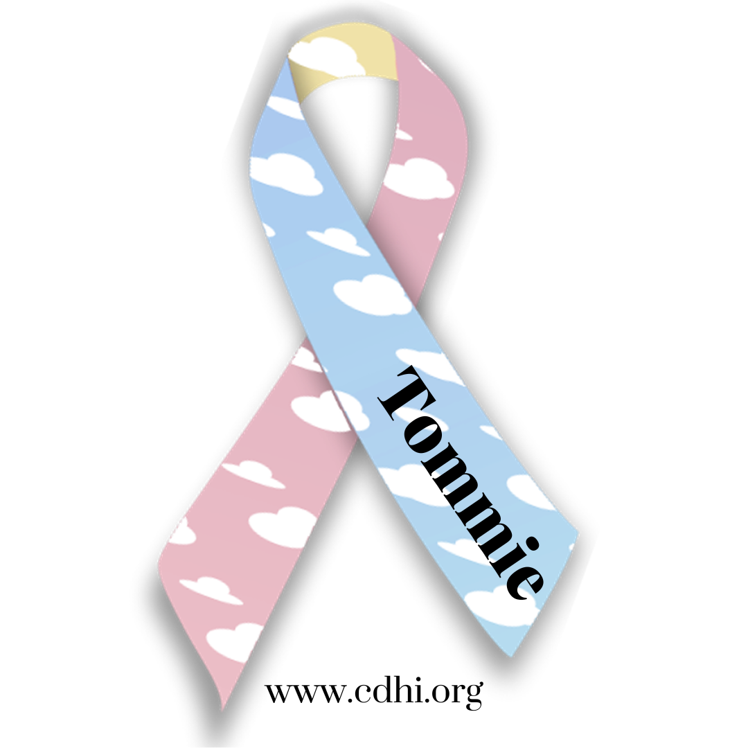 Pastel pink and blue cloud-pattern awareness ribbon, with a blue side overlapping the pink side; includes the text 'Romnie' on the blue pass and the website 'www.cdhi.org' at the bottom.