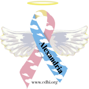 Angel-themed awareness ribbon in pink and blue with cloud patterns, white wings, and a halo; the name 'Nexandria' diagonally across and the site www.cdhi.org at the bottom.