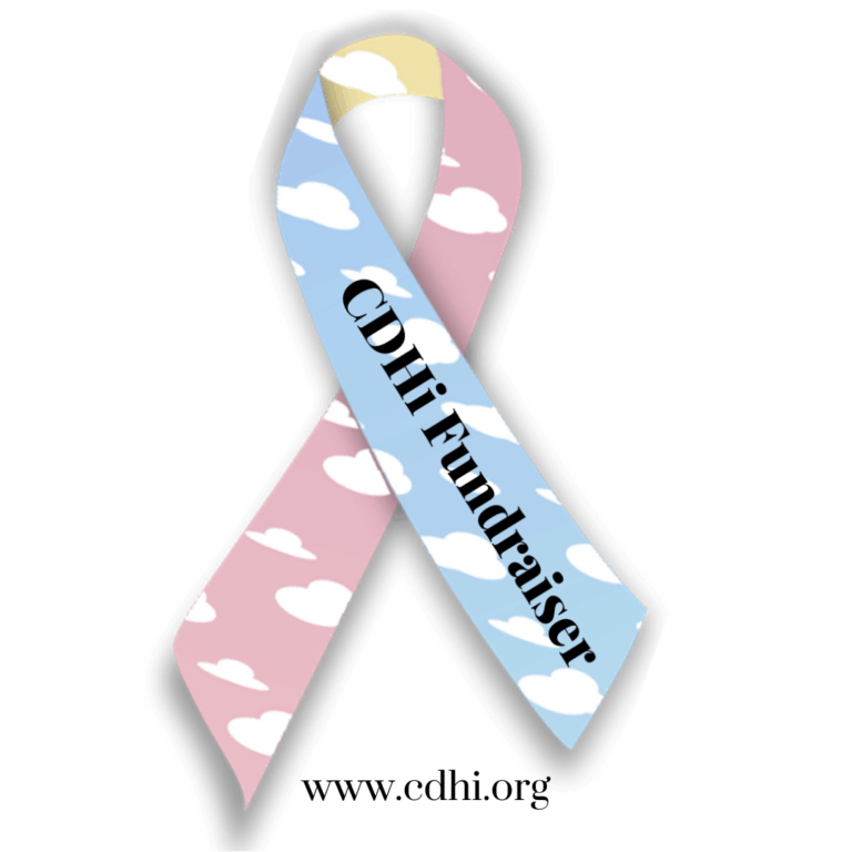Awareness ribbon with blue and pink cloud pattern reading 'CDHi fundraiser'; website www.cdhdi.org shown below.