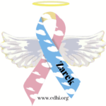 Pink-and-blue awareness ribbon with white clouds, angel wings, and a yellow halo; the name 'Zarek' on the blue stripe and the URL 'www.cdhi.org' at the bottom.