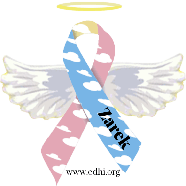 Pink-and-blue awareness ribbon with white clouds, angel wings, and a yellow halo; the name 'Zarek' on the blue stripe and the URL 'www.cdhi.org' at the bottom.